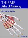 Michael Schuenke Thieme Atlas Of Anatomy General Anatomy And Musculoskeletal System 
