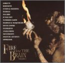 Fire On The Brain/Vol. 1-Fire On The Brain@Fleshgrind/Divine Empire@Fire On The Brain