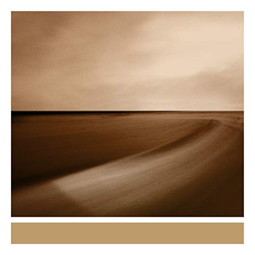 Brian Eno/Small Craft On A Milk Sea