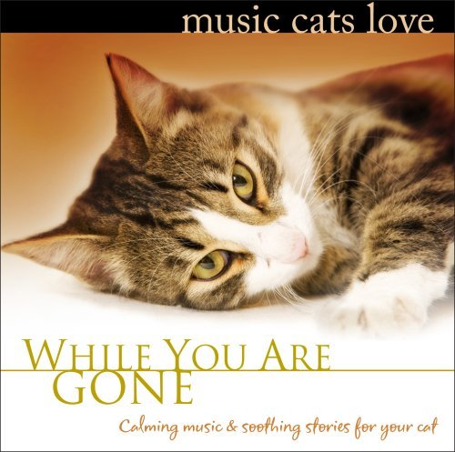 Bradley Joseph/Music Cats Love: While You Are Gone