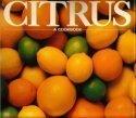 Jacobson Eric Rogers Ford Citrus A Cookbook 