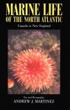 Andrew J. Martinez Marine Life Of The North Atlantic Canada To New E 