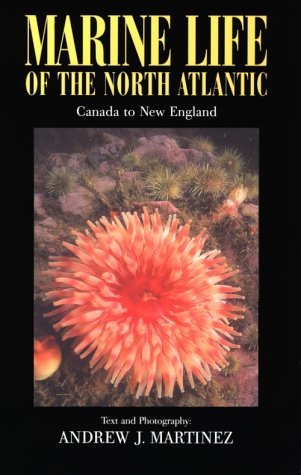 Andrew J. Martinez Marine Life Of The North Atlantic Canada To New E 
