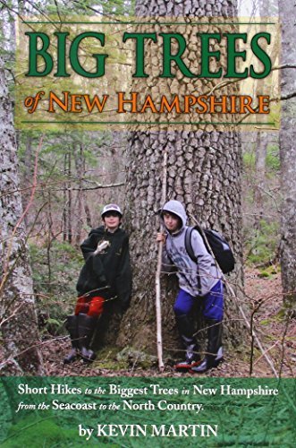 Kevin Martin Big Trees Of New Hampshire 