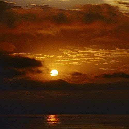 The Autumn Defense/Circles@LP