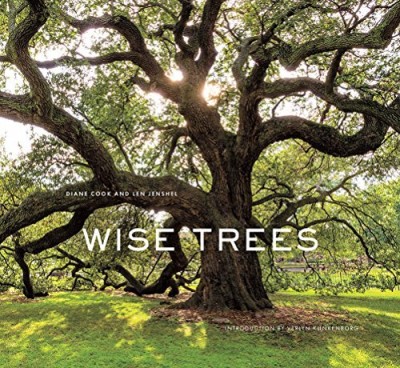 Diane Cook Wise Trees 