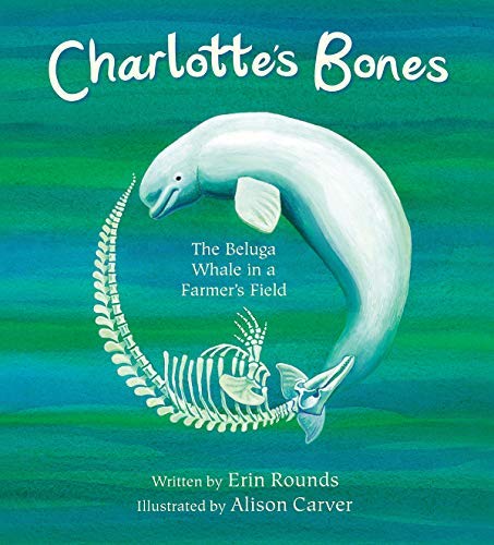 Erin Rounds Charlotte's Bones The Beluga Whale In A Farmer's Field 