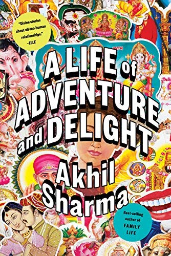 Akhil Sharma/A Life of Adventure and Delight
