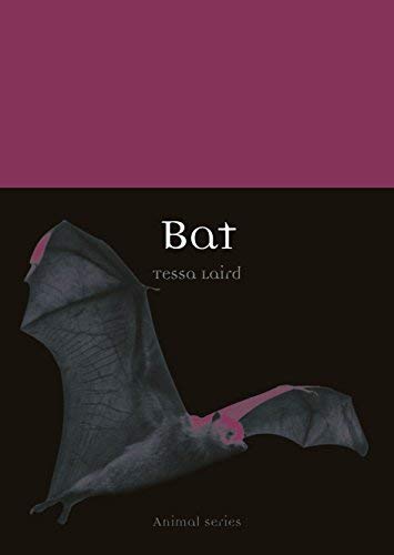Tessa Laird Bat 