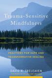 David A. Treleaven Trauma Sensitive Mindfulness Practices For Safe And Transformative Healing 