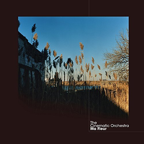 Cinematic Orchestra/Ma Fleur