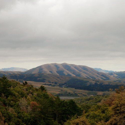 Dirty Projectors + Bjork/Mount Wittenberg Orca