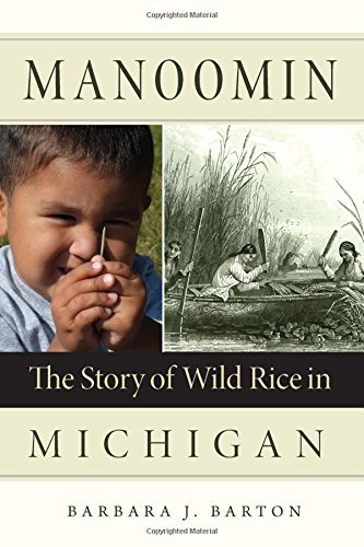 Barbara J. Barton Manoomin The Story Of Wild Rice In Michigan 