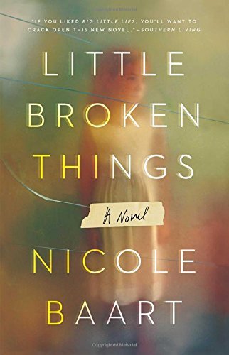 Nicole Baart/Little Broken Things