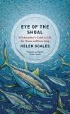 Helen Scales Eye Of The Shoal A Fishwatcher's Guide To Life The Ocean And Ever 