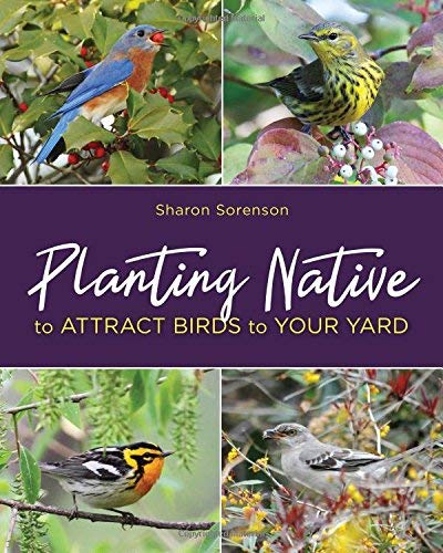 Sharon Sorenson Planting Native To Attract Birds To Your Yard 