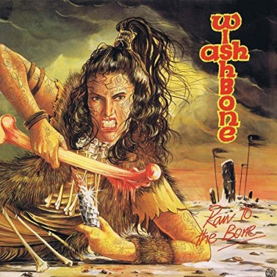 Wishbone Ash/Raw To The Bone