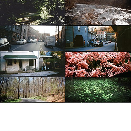 American Pleasure Club/A Whole Fucking Lifetime of This