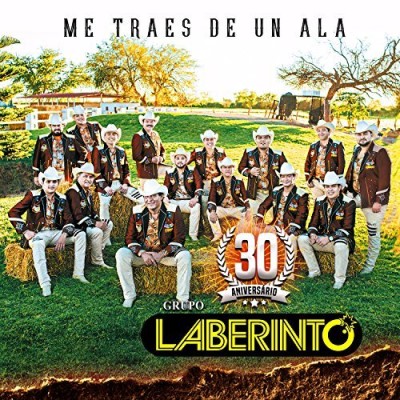 Grupo Laberinto/Me Traes De Un Ala