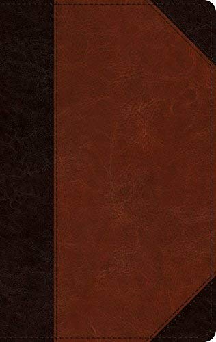 Esv Large Print Personal Size Bible (trutone Brow 