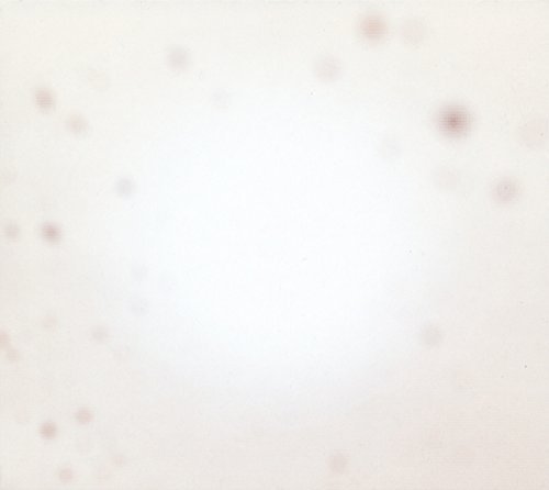 Yo La Tengo/There's A Riot Going On