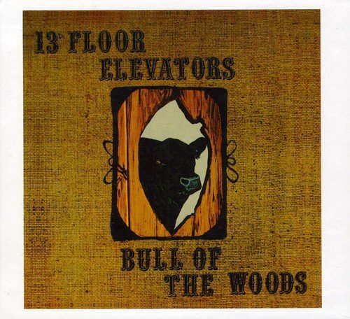 13th Floor Elevators Bull Of The Woods 