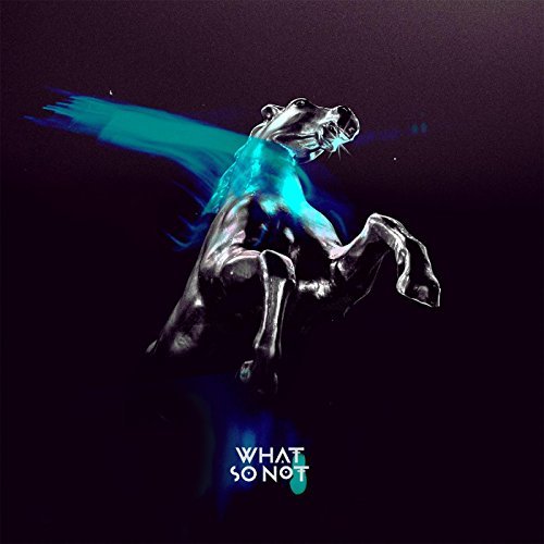 What So Not/Not All The Beautiful Things
