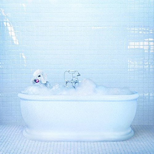 Frankie Cosmos/Vessel