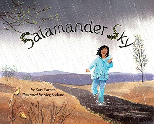 Katy Farber Salamander Sky 