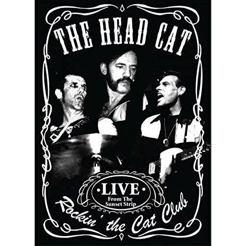 Head Cat/Rockin' The Cat Club