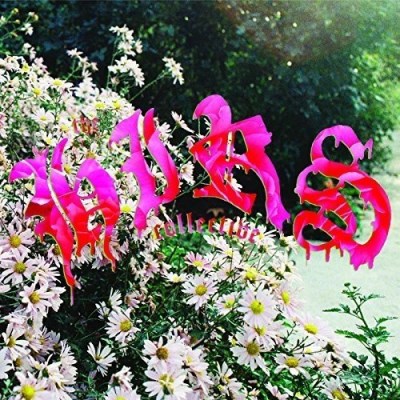 Hirs Collective/Friends. Lovers. Favorites.