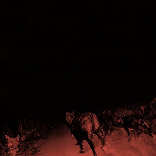 Bambara/Shadow On Everything