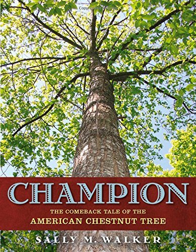 Sally M. Walker/Champion@ The Comeback Tale of the American Chestnut Tree