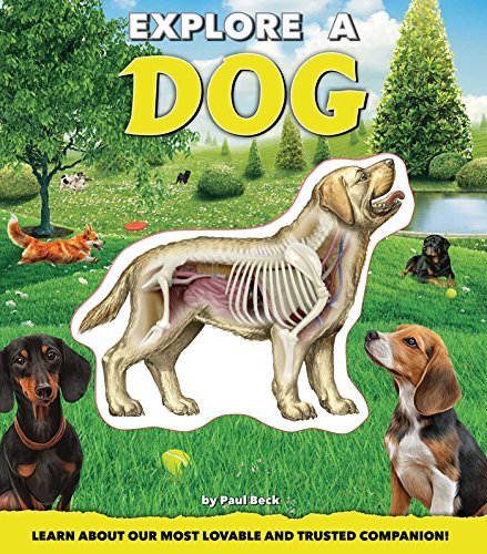 Paul Beck/Explore a Dog