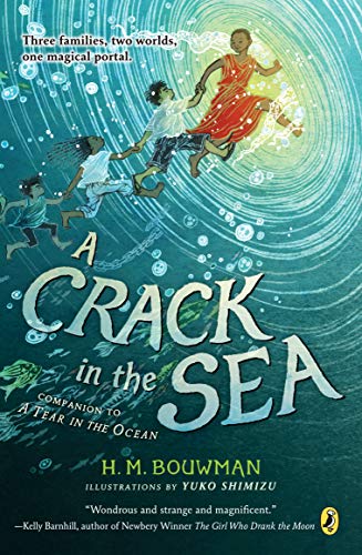 H. M. Bouwman/A Crack in the Sea