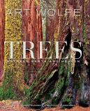 Gregory Mcnamee Trees Volume 1 Between Earth And Heaven 