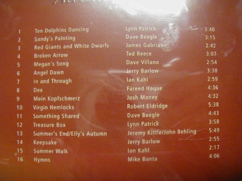VARIOUS/Acoustic Variations
