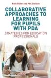 Ruth Fidler Collaborative Approaches To Learning For Pupils Wi Strategies For Education Professionals 