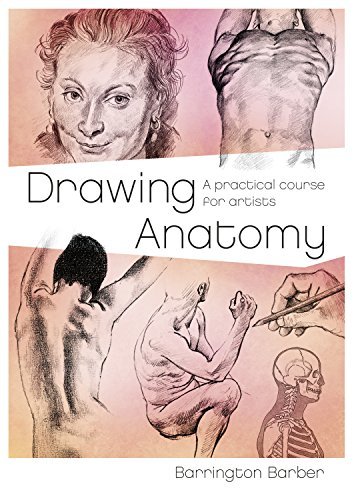 Barrington Barber/Drawing Anatomy