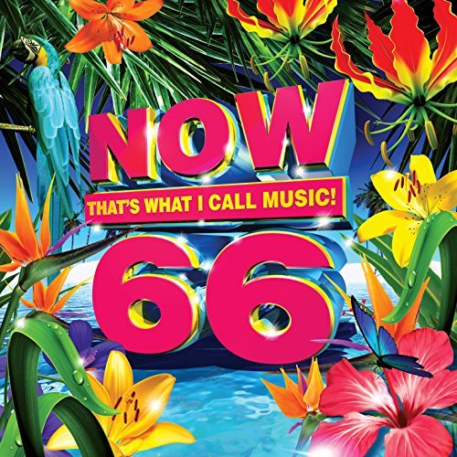 NOW 66/NOW 66