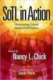 Nancy L. Chick Sotl In Action Illuminating Critical Moments Of Practice 