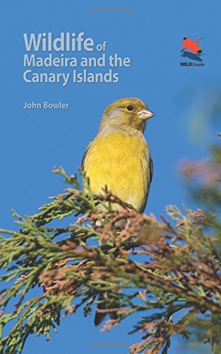 John Bowler Wildlife Of Madeira And The Canary Islands A Photographic Field Guide To Birds Mammals Rep Flexibound 