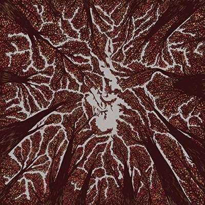 Trash Boat/Crown Shyness@.