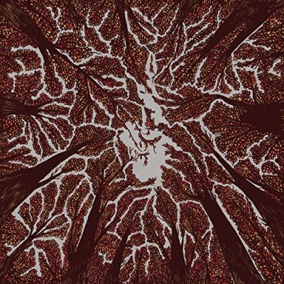 Trash Boat/Crown Shyness@.