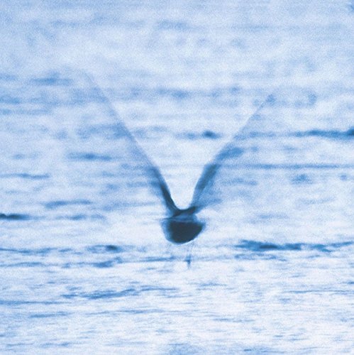 Ryo Fukui/Mellow Dream@LP