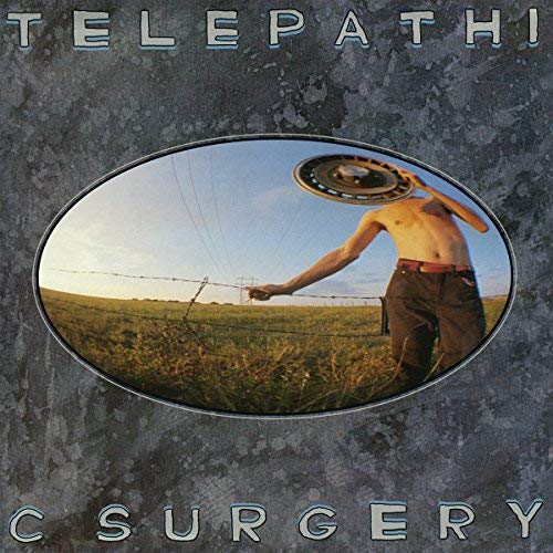 The Flaming Lips/Telepathic Surgery