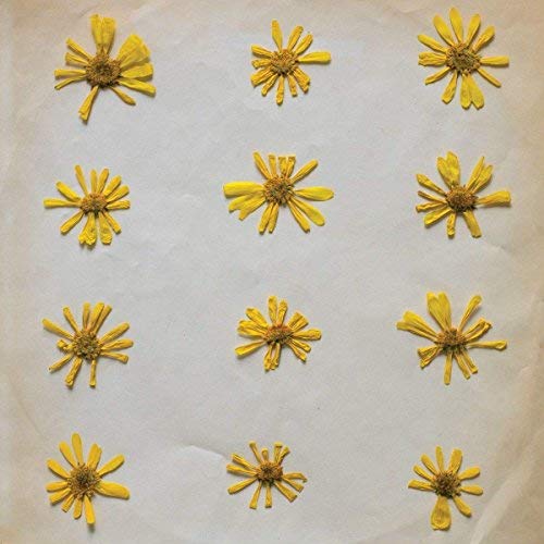 The Molochs/Flowers in the Spring