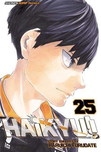 Haruichi Furudate/Haikyu!! 25