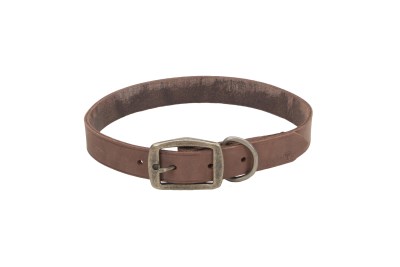 Coastal Leather Dog Collar - Chocolate Brown