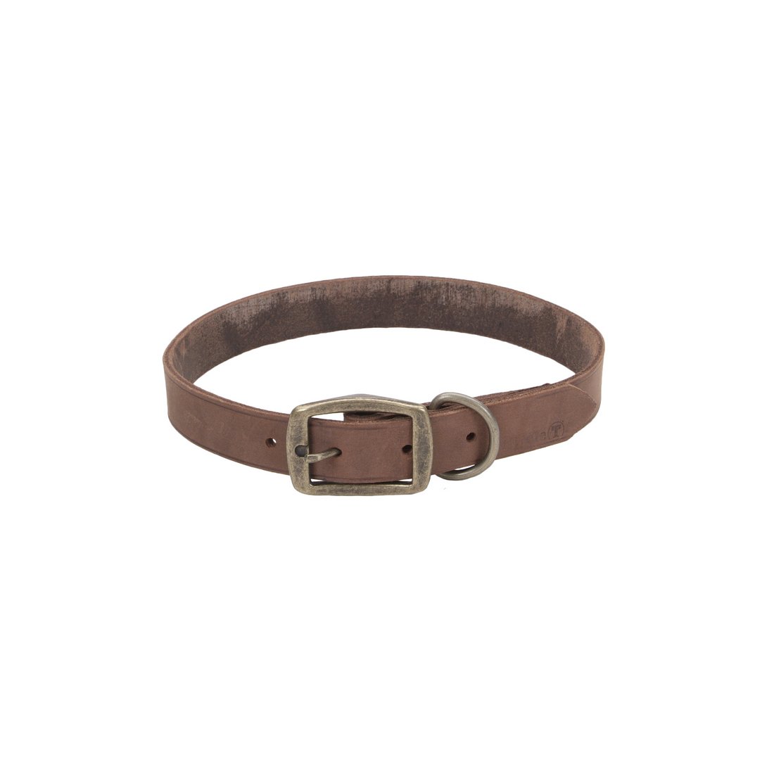 Coastal Leather Dog Collar - Chocolate Brown